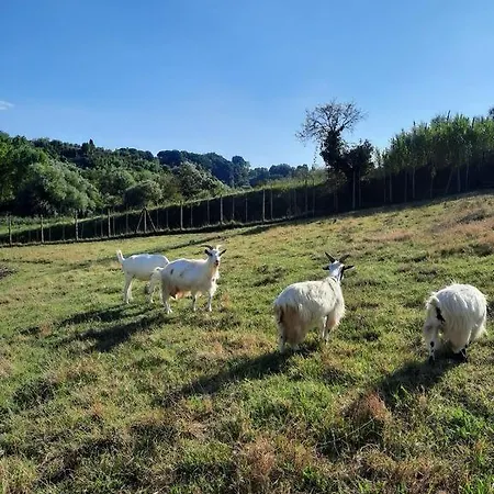 Podere La Botte Holiday home Lari